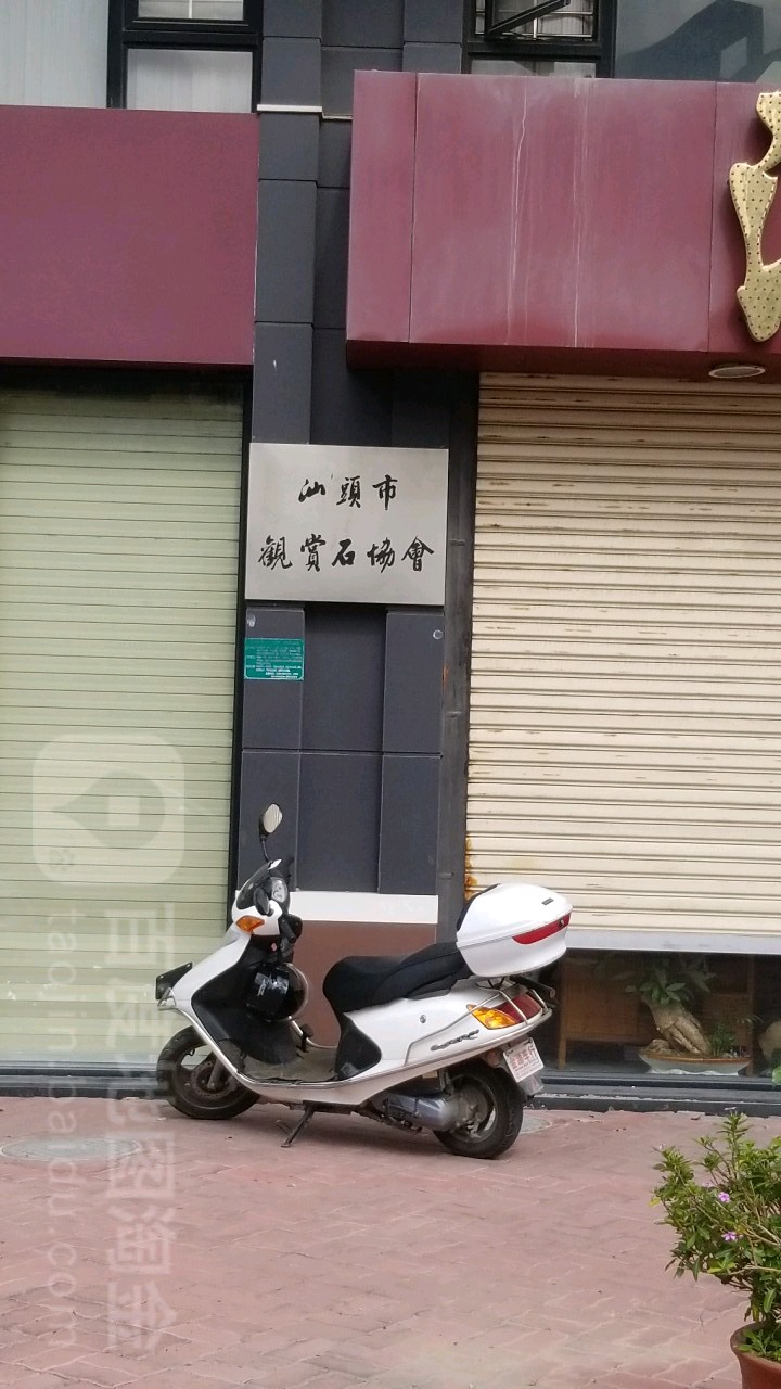 汕头市观赏石协会