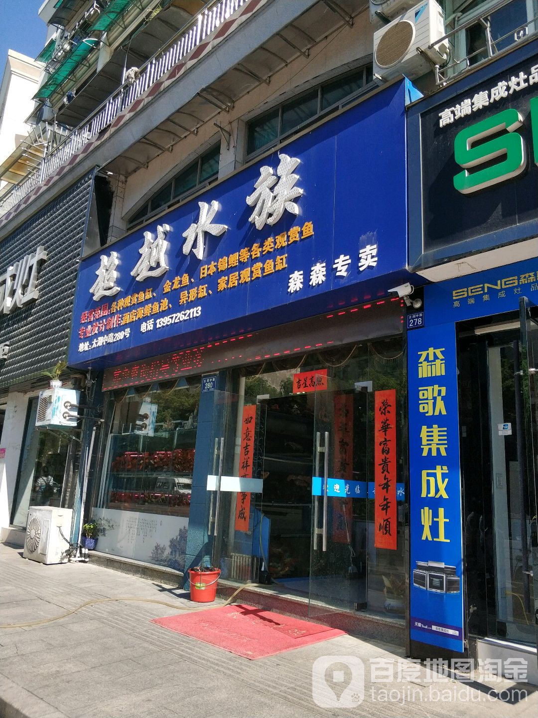 超越水族(森森专卖)