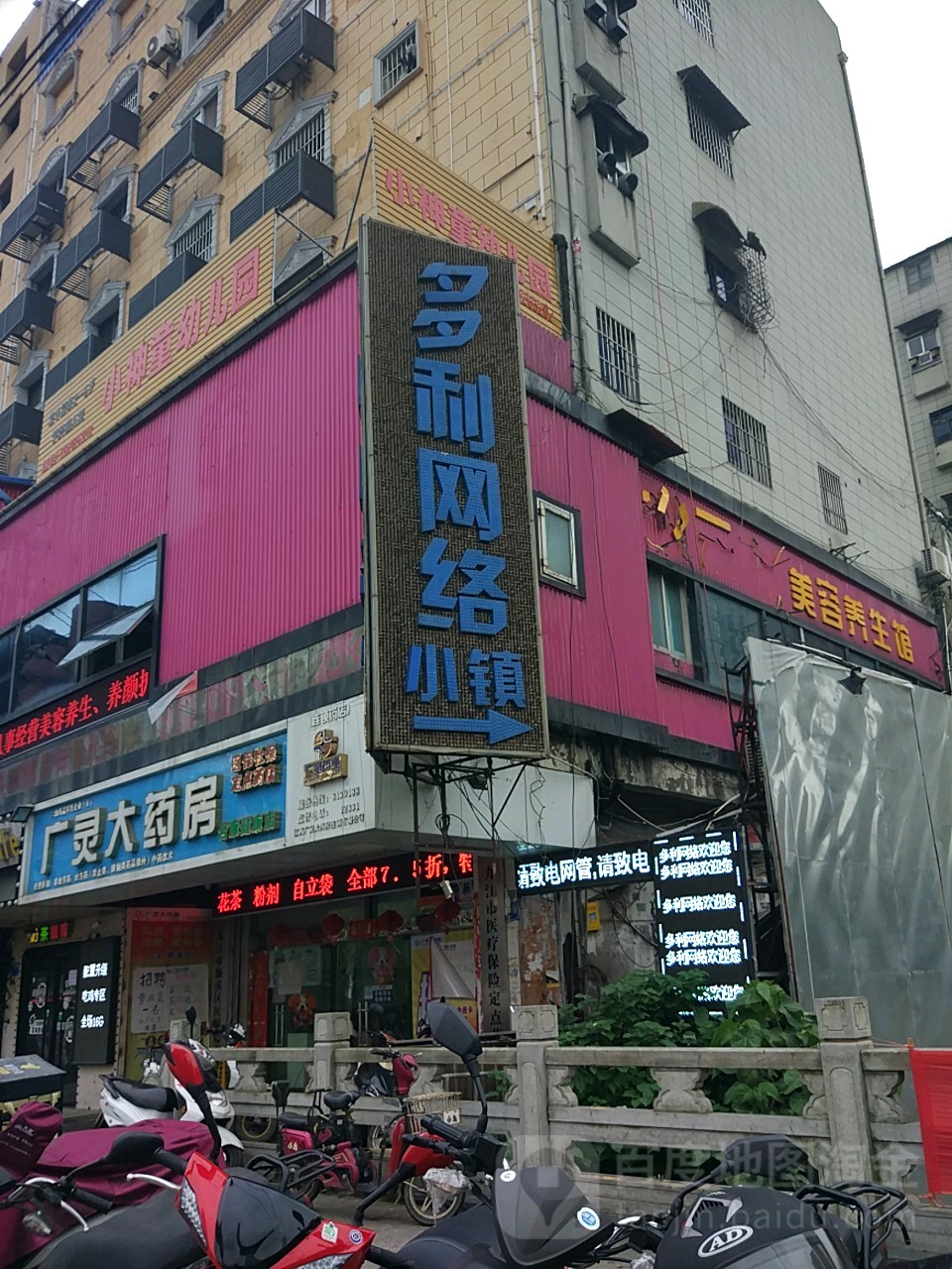 多利网络