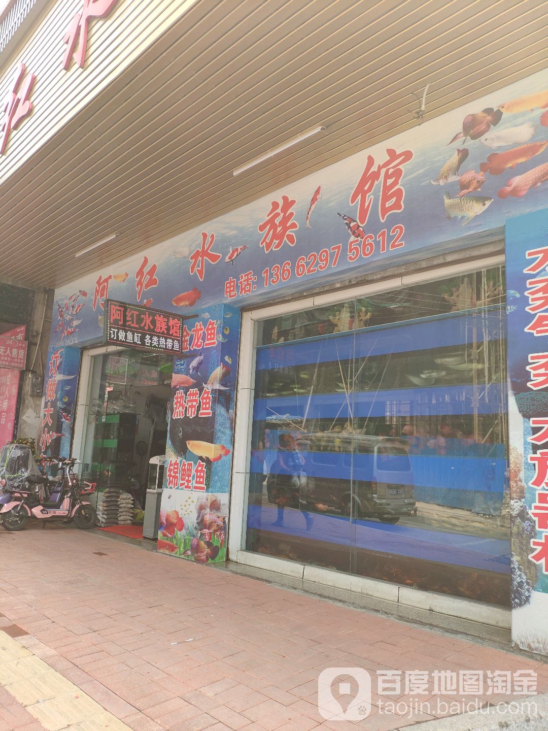 阿红水族馆