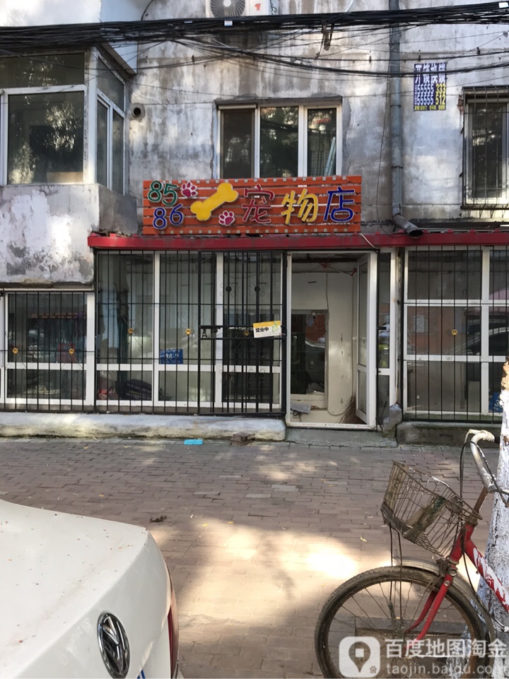 8586宠物店