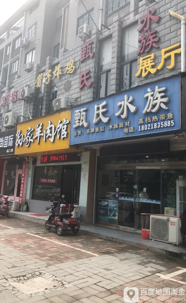 甄四水族