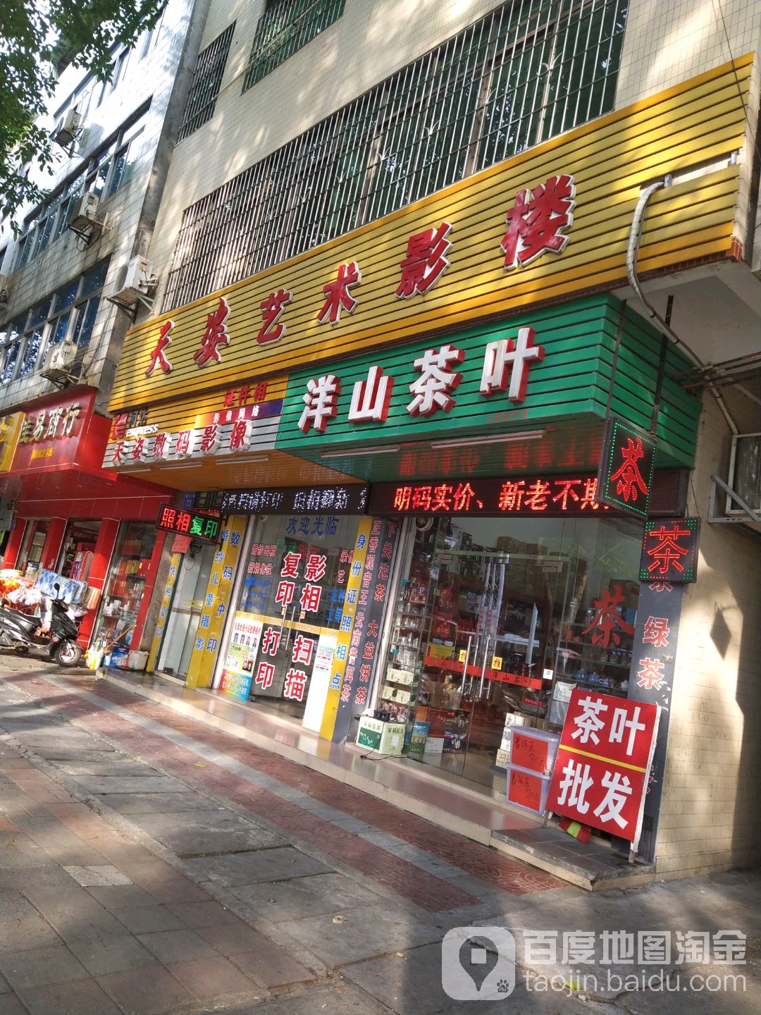 洋山茶叶