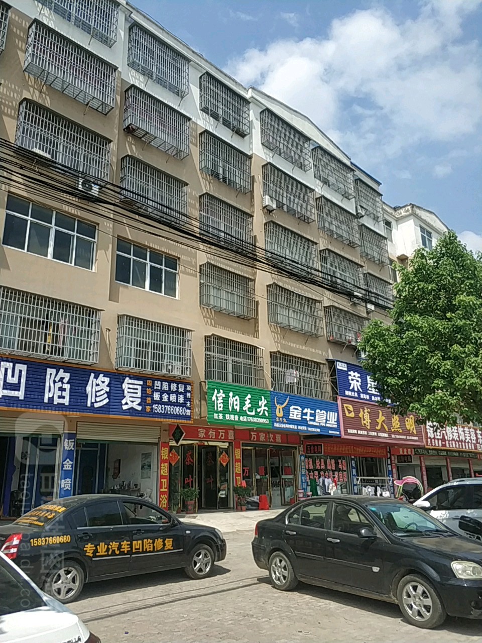 昌盛茗茶信阳毛尖(蓼城大道店)