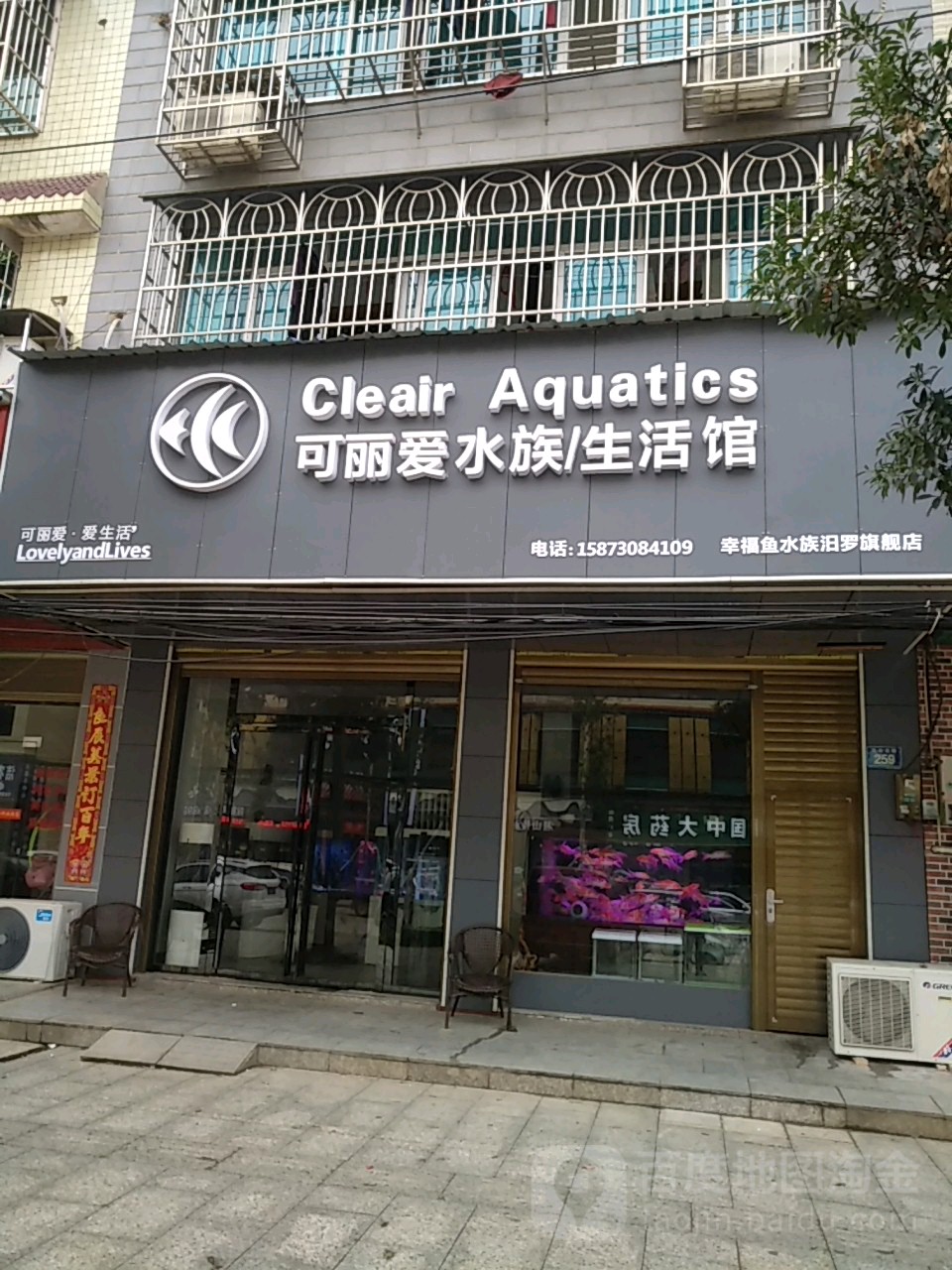 可丽瞹水族(大众北路店)