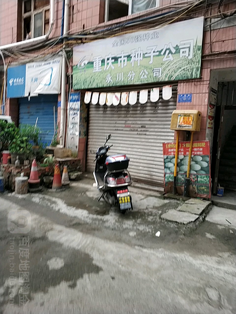 重庆市种子公司永川分公司