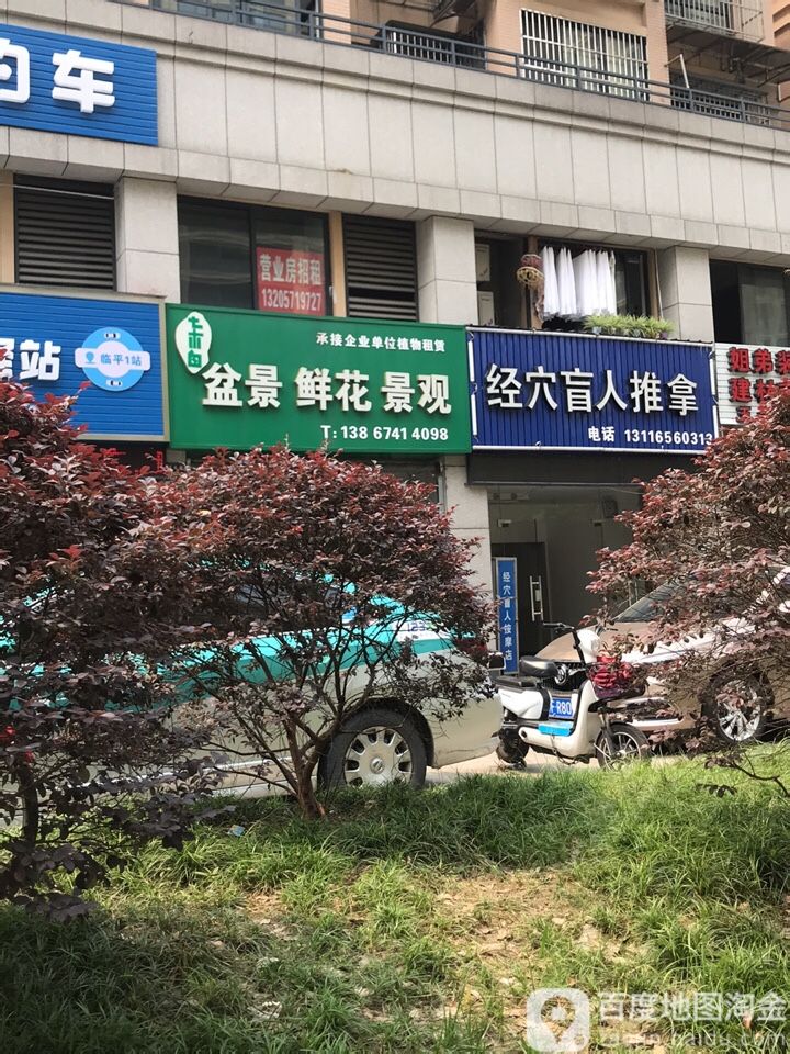 经穴盲仁推拿