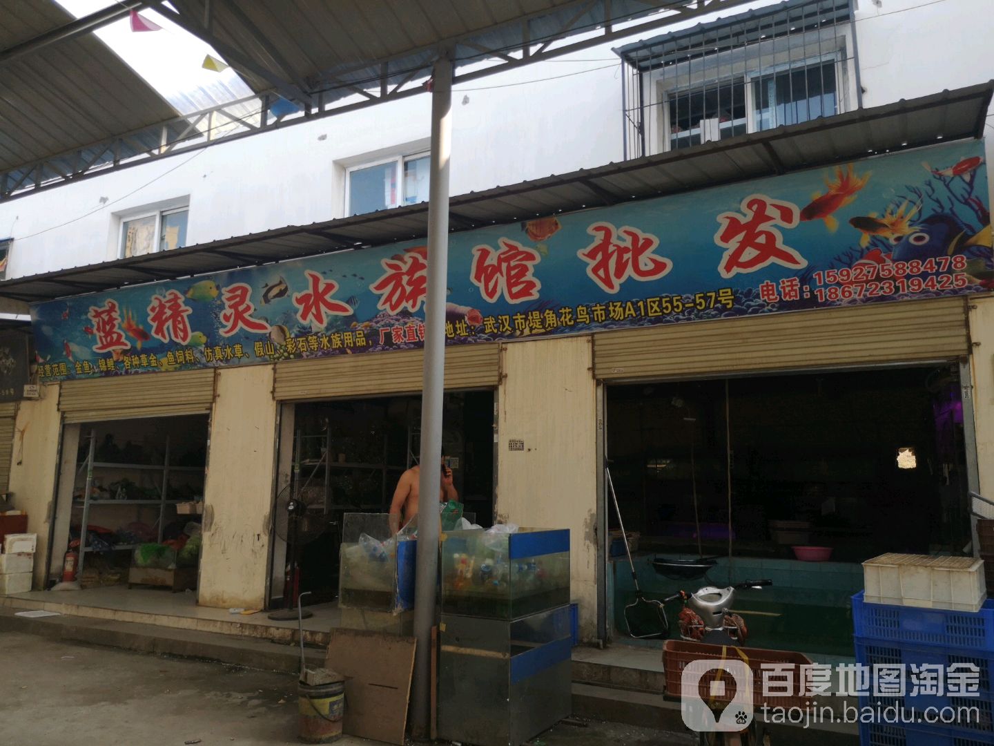 蓝精灵水族馆批发(堤角店)