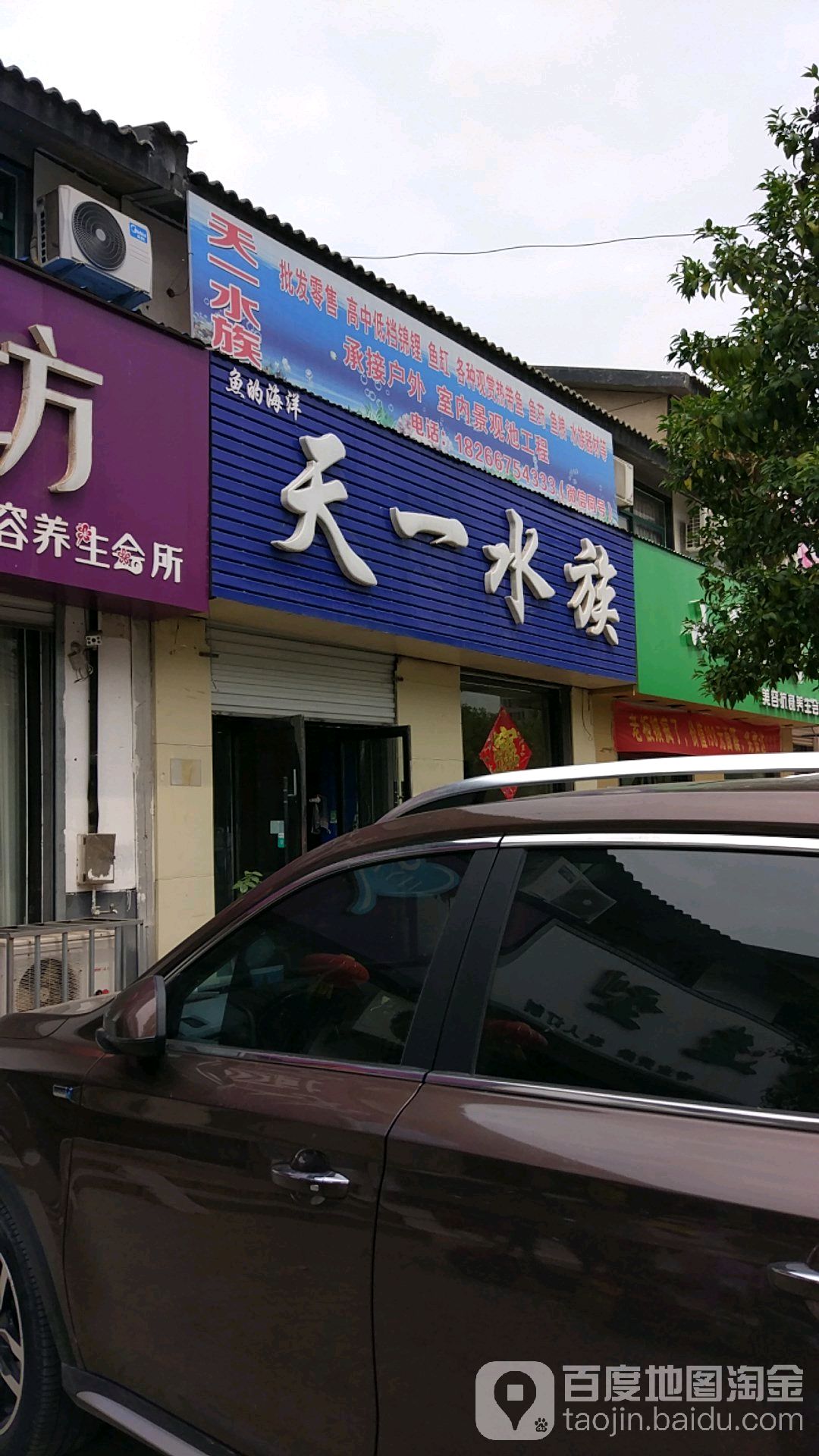 鱼的海洋天一水族
