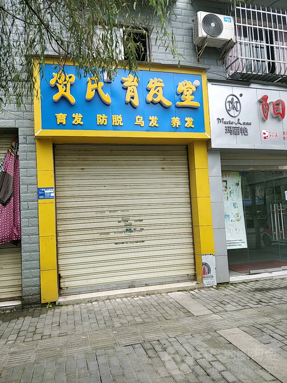 贺氏育发店(桃园路店)