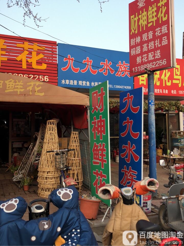 久久生态水族