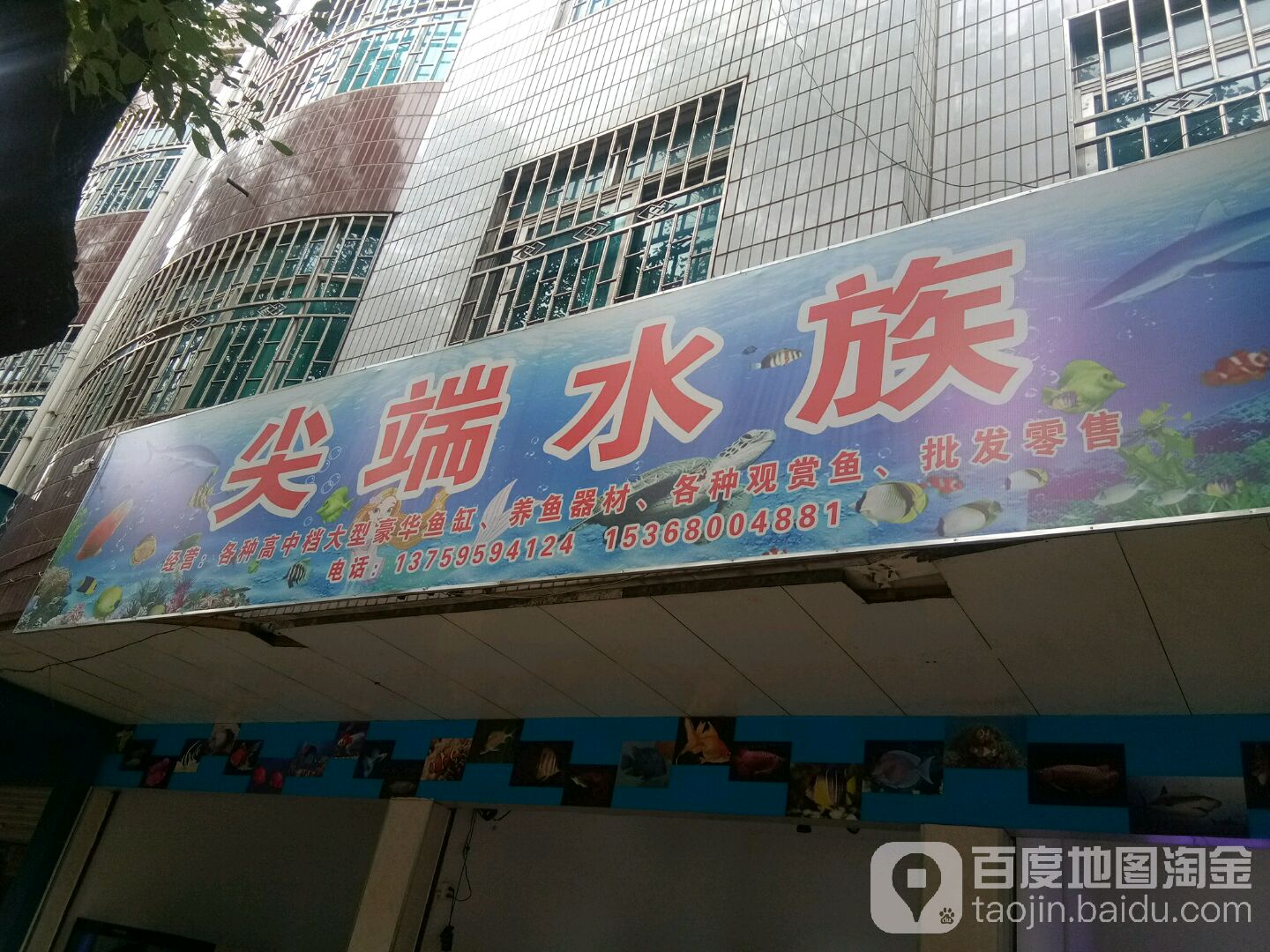 尖端水族