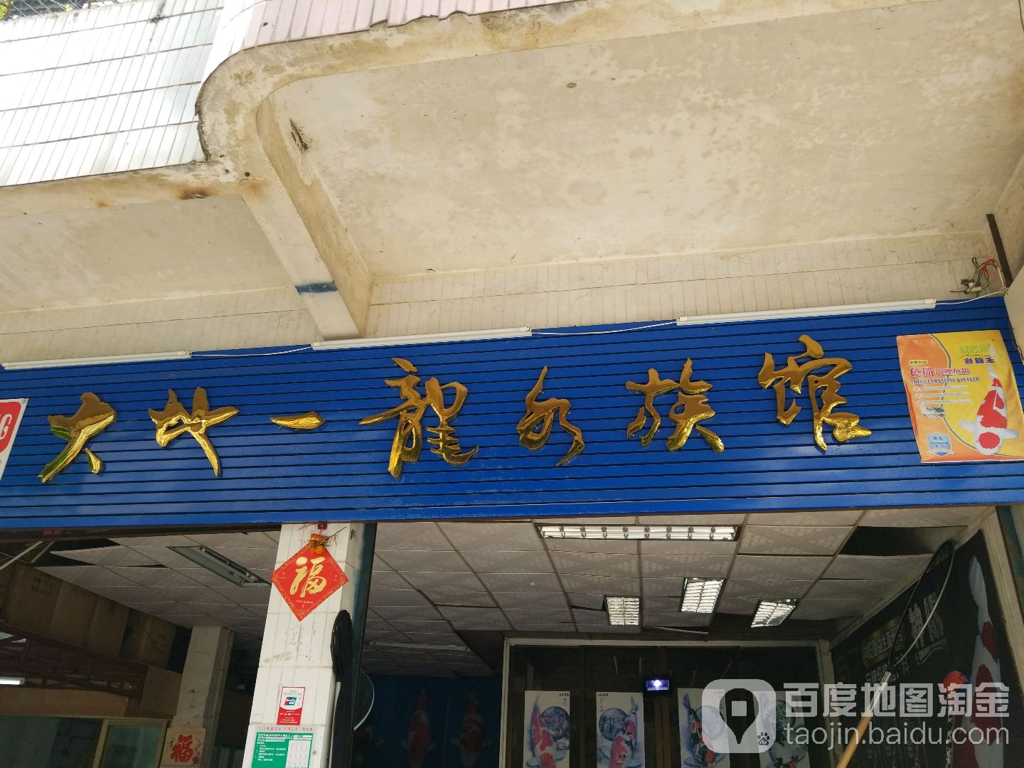 大地一龙水族馆