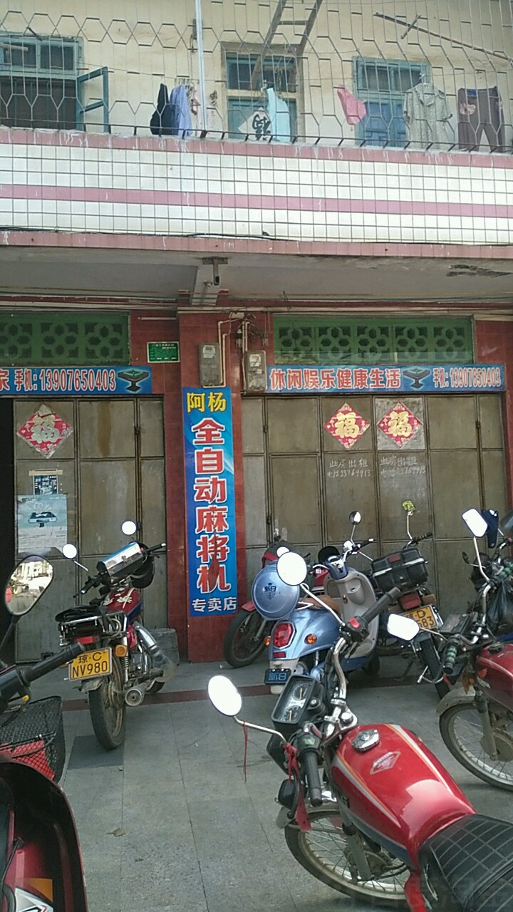 阿杨全自动麻将机(八一专卖店)