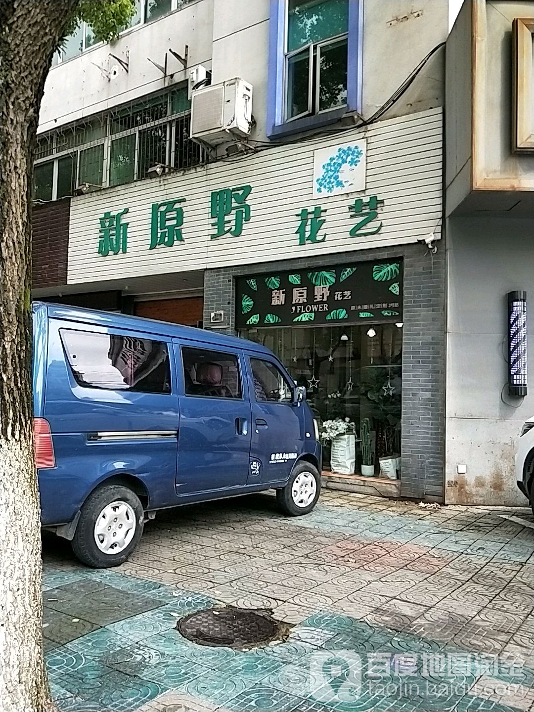 新源野花艺