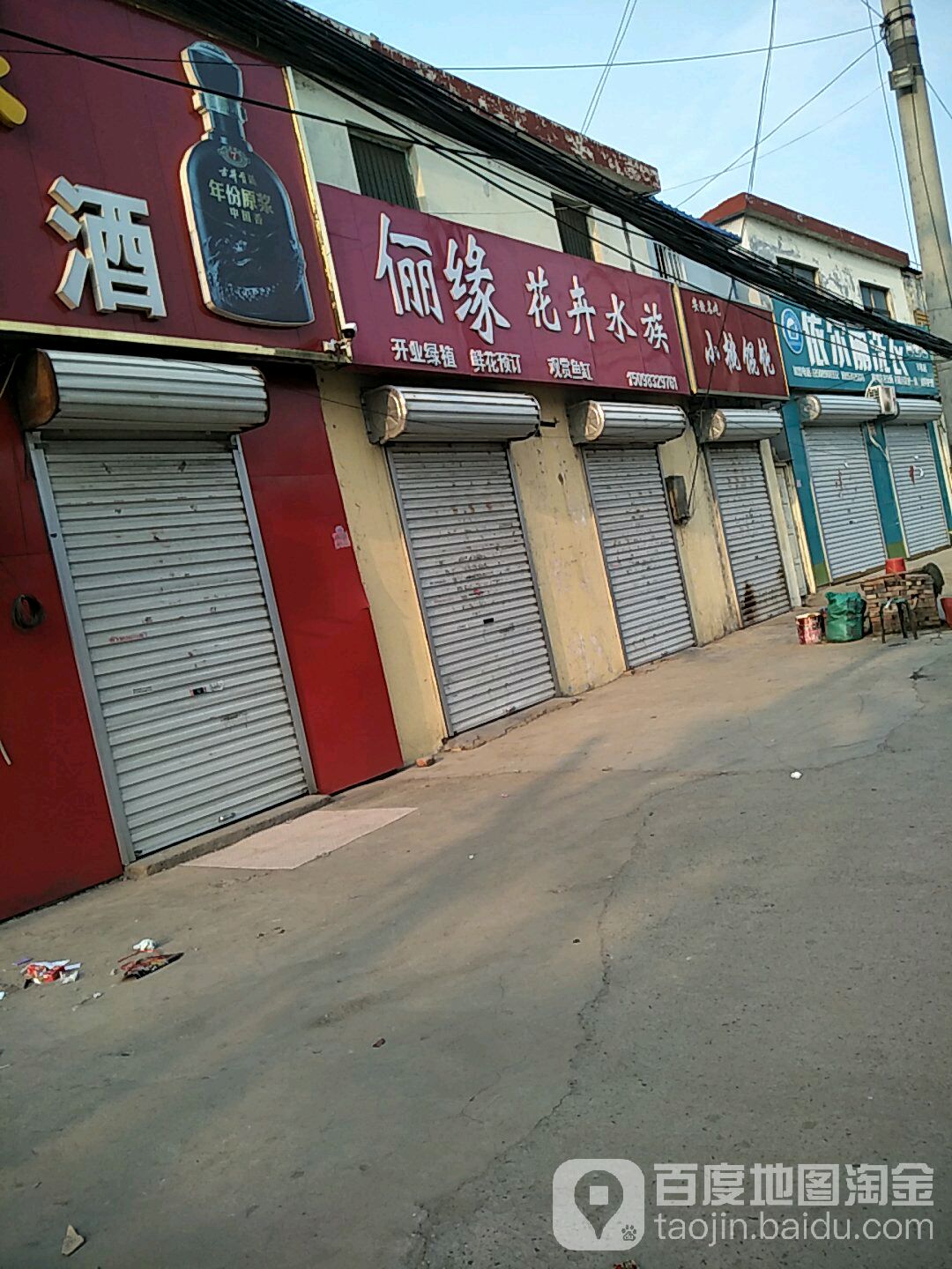 俪缘花卉水族