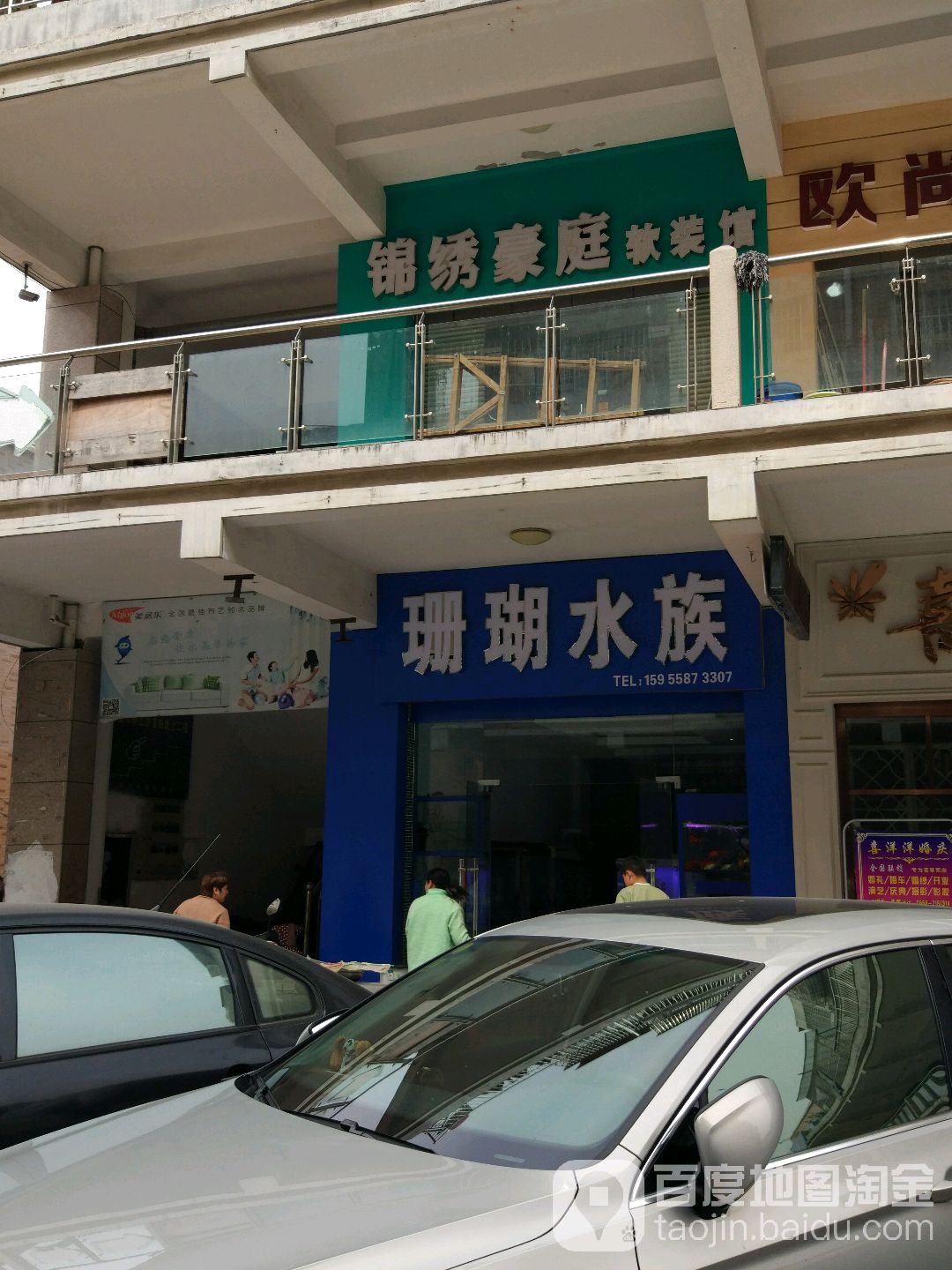 珊瑚水景