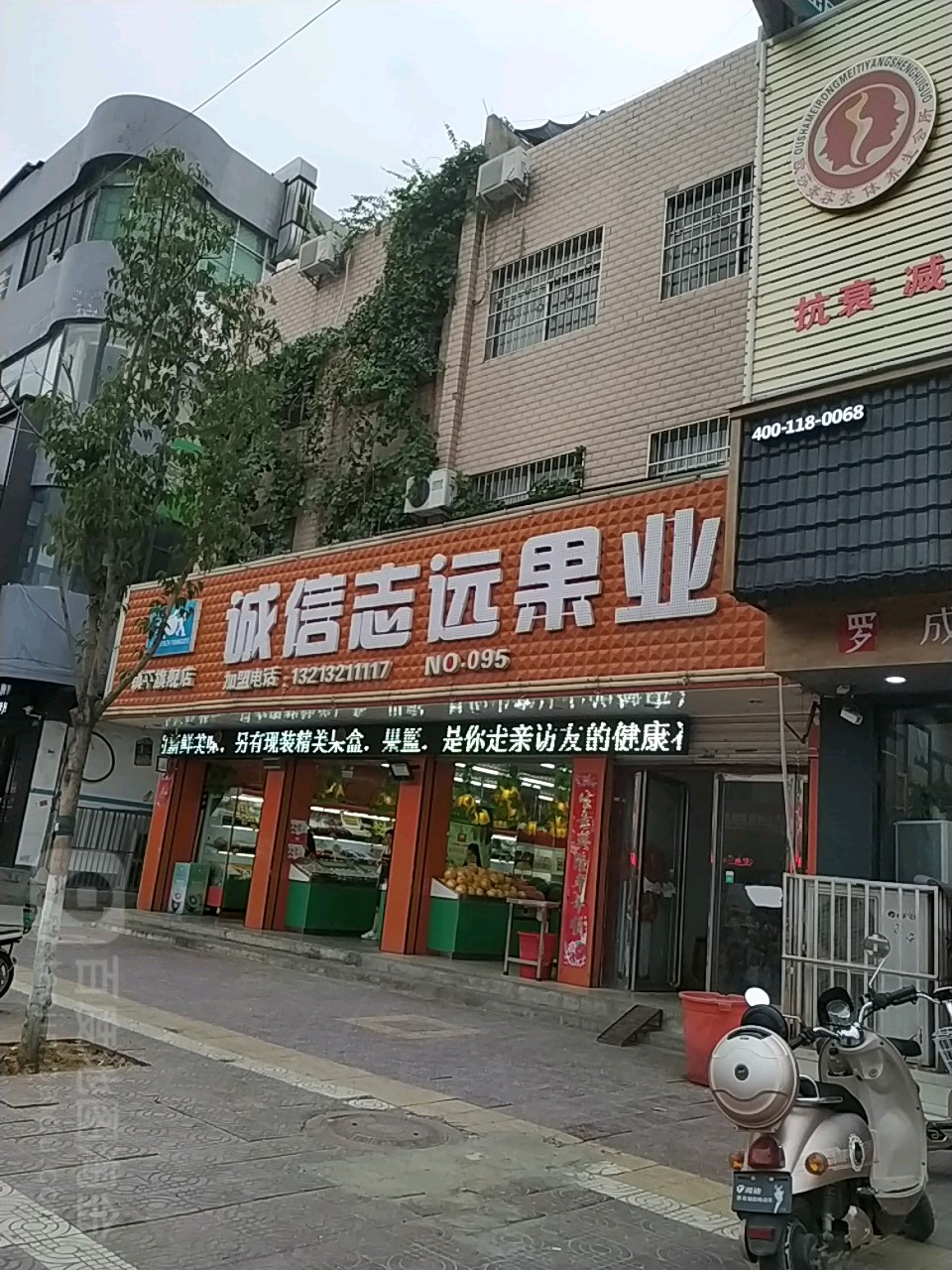 镇平县诚信志远果业(镇平旗舰店)