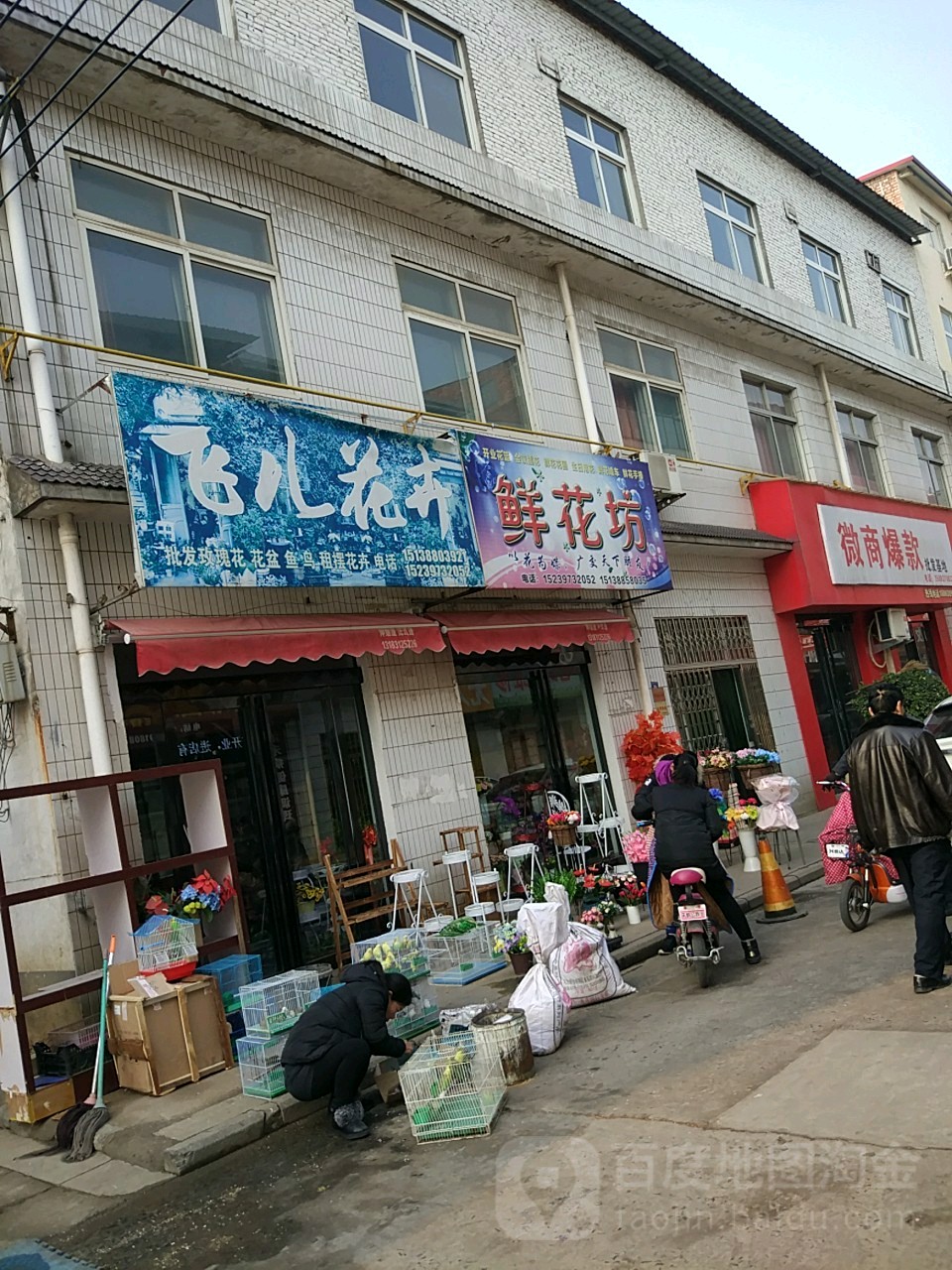 飞儿花卉(古槐街店)