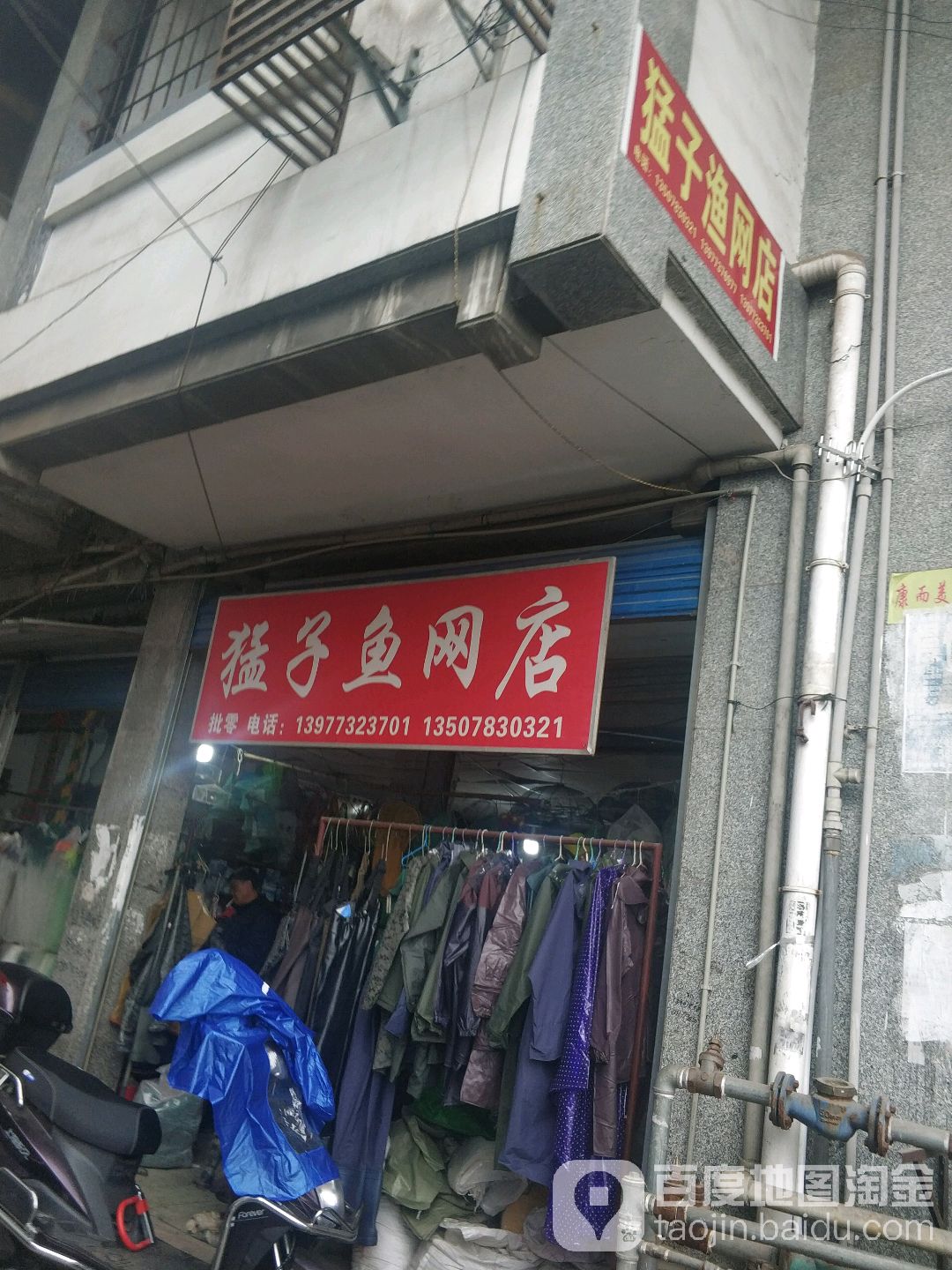 猛子鱼网店