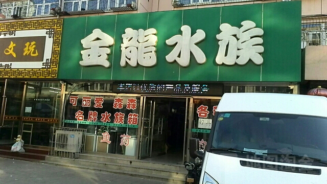 金泷水族(滨河中路店)