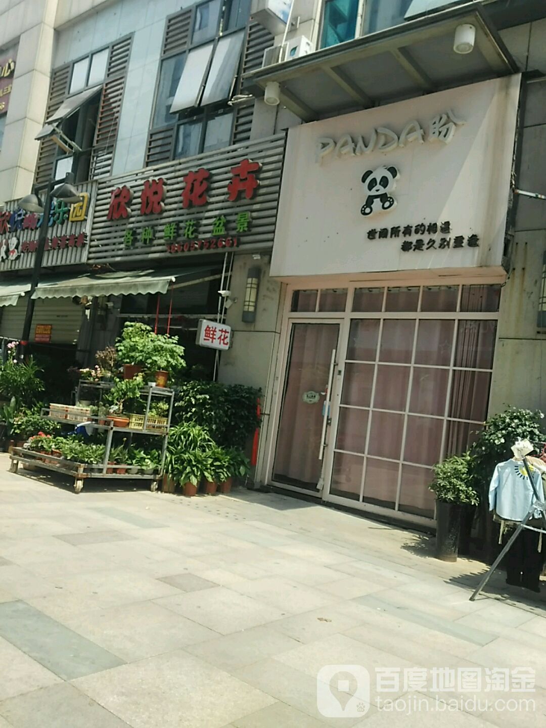 新月花卉(绍兴柯桥万达广场店)