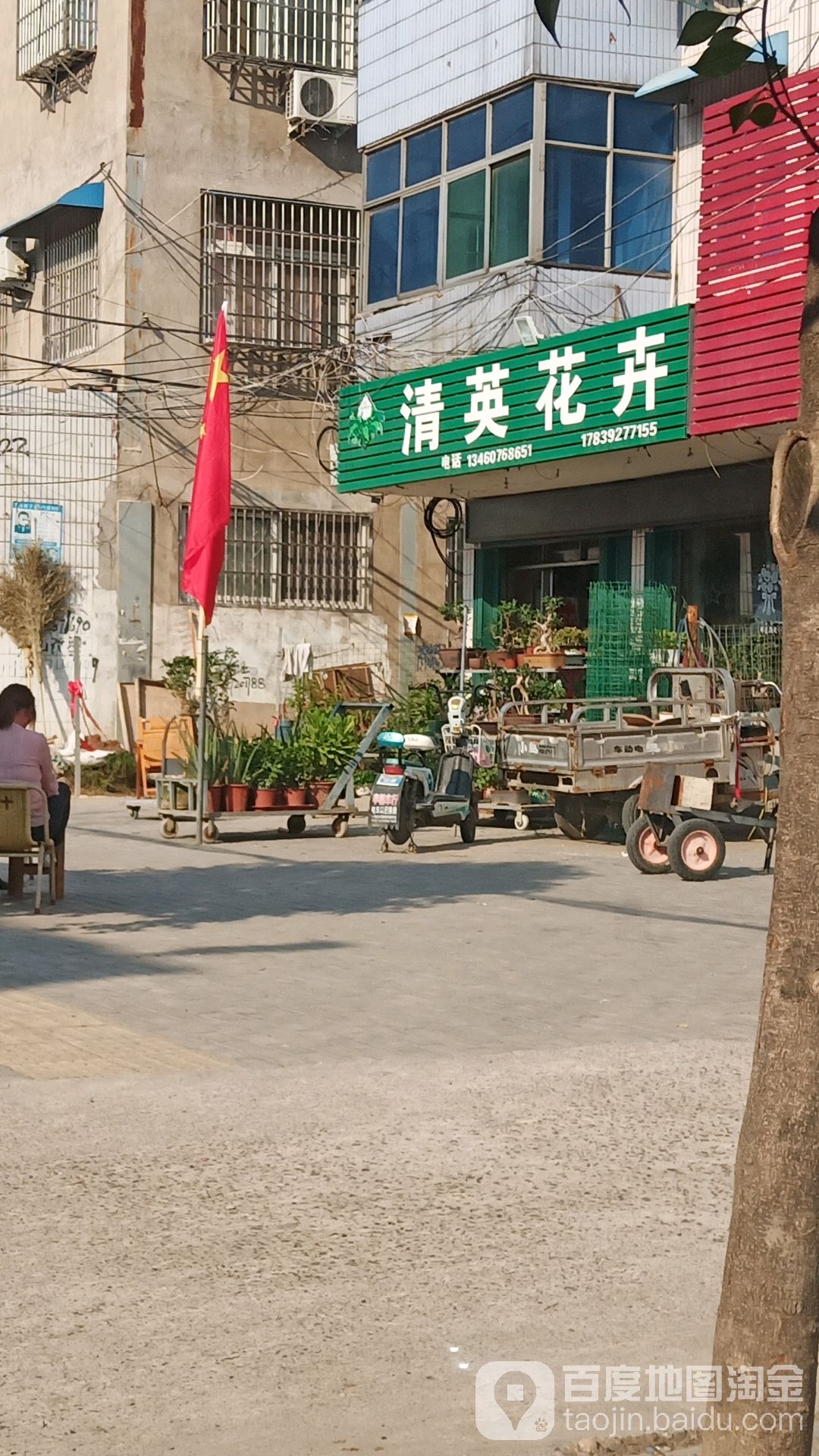 清瀛花卉