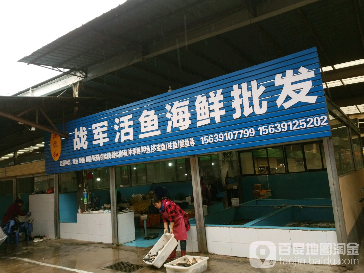 战军活鱼海鲜批发