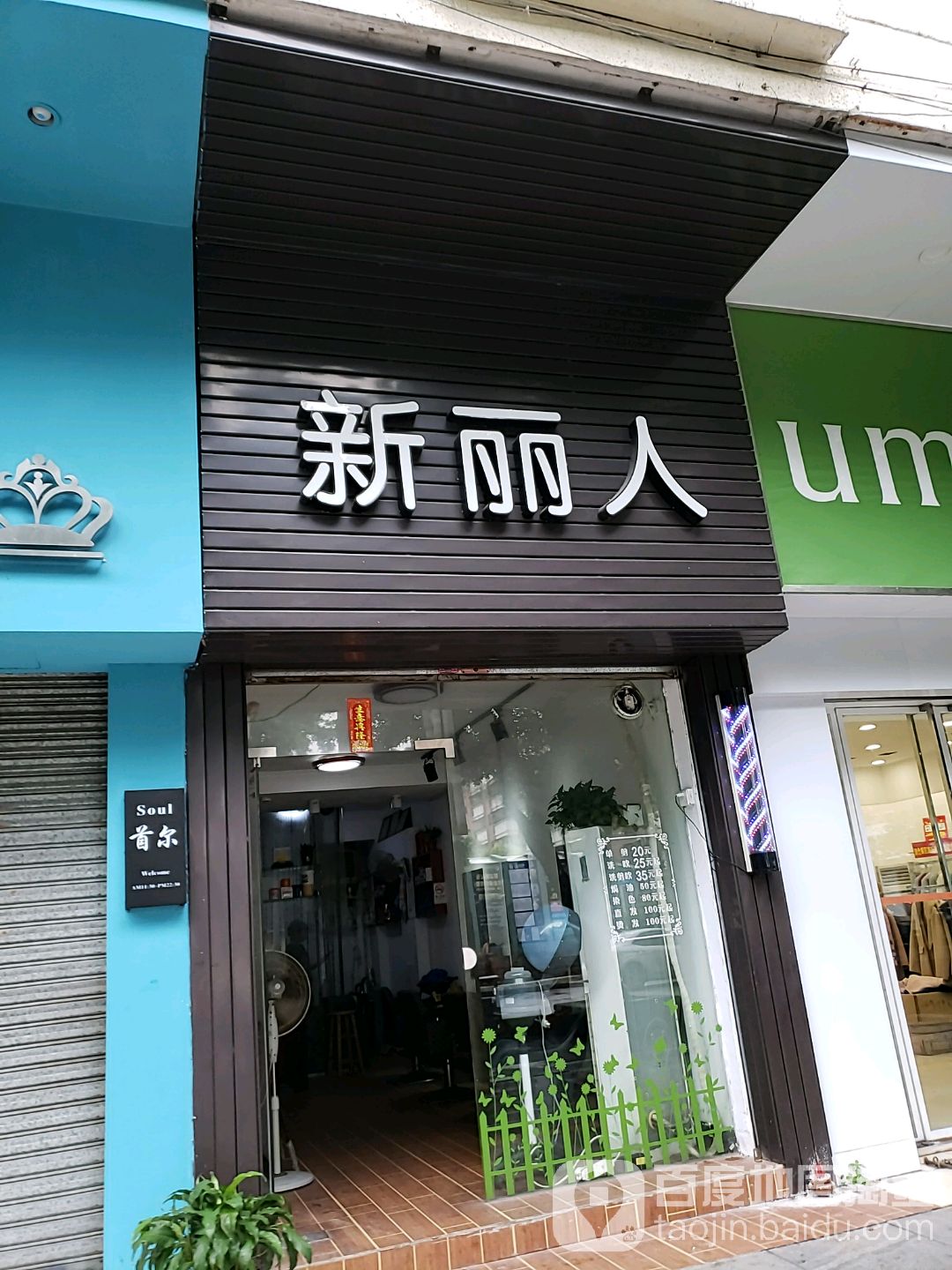 新丽人