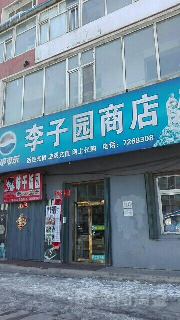 李子园商店