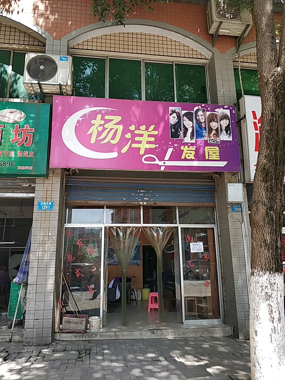 杨洋发屋
