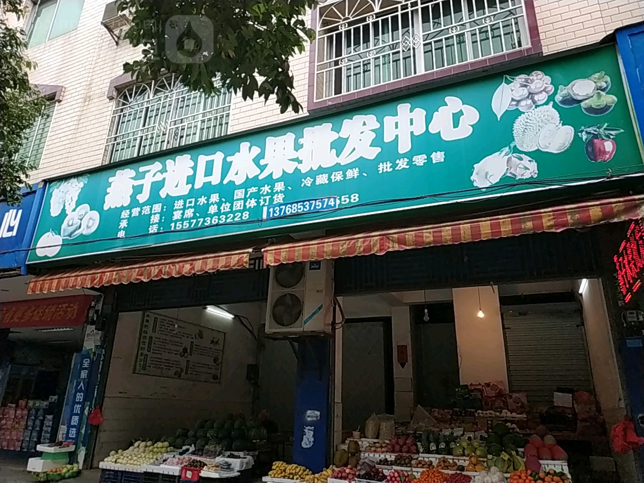 燕子进口水果批发中心