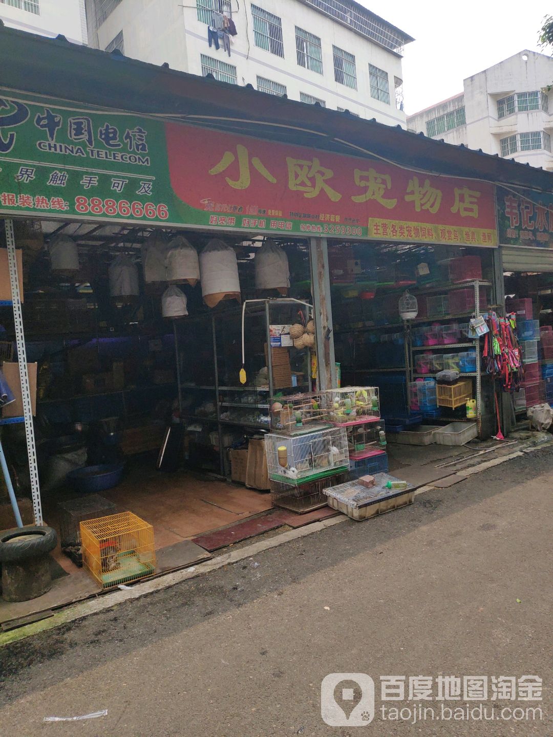 广西小欧宠物·宠物市场·猫舍犬舍