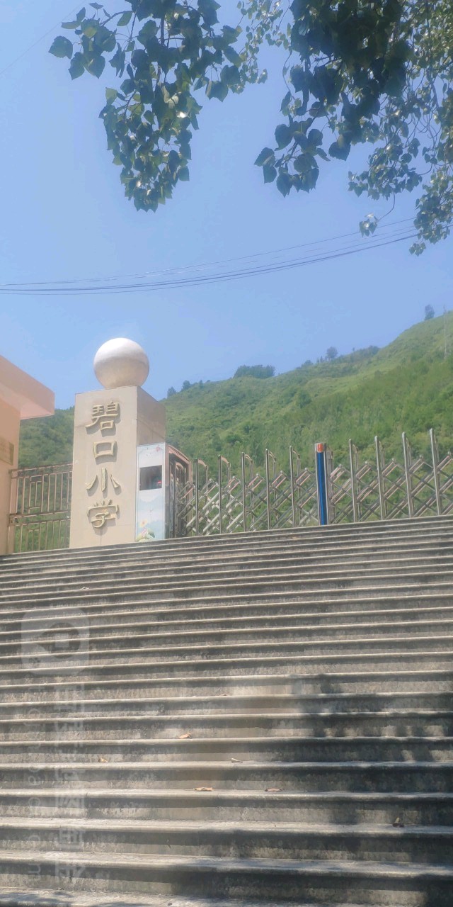 甘肃省文县碧口小学