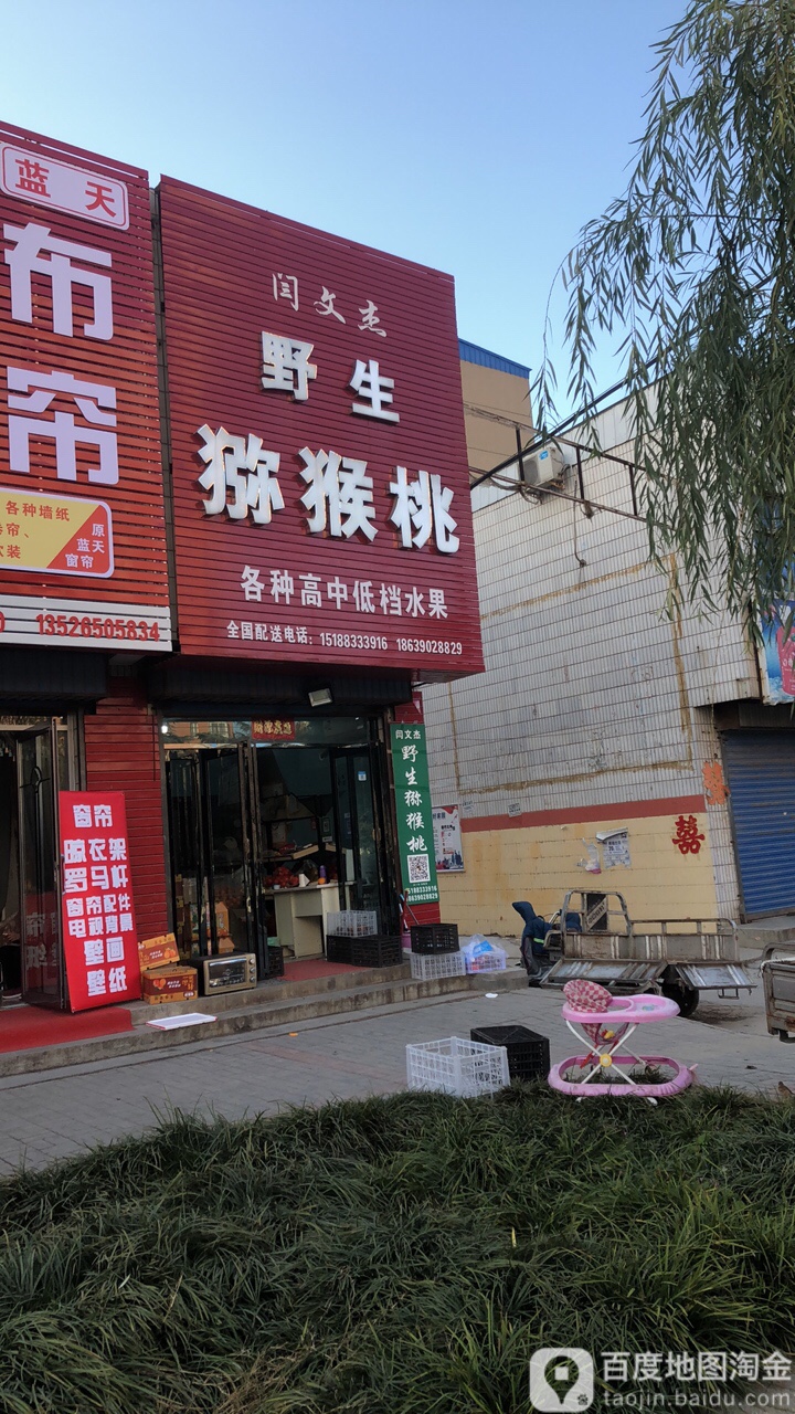 荥阳市闫文杰野生猕猴桃(广武路店)