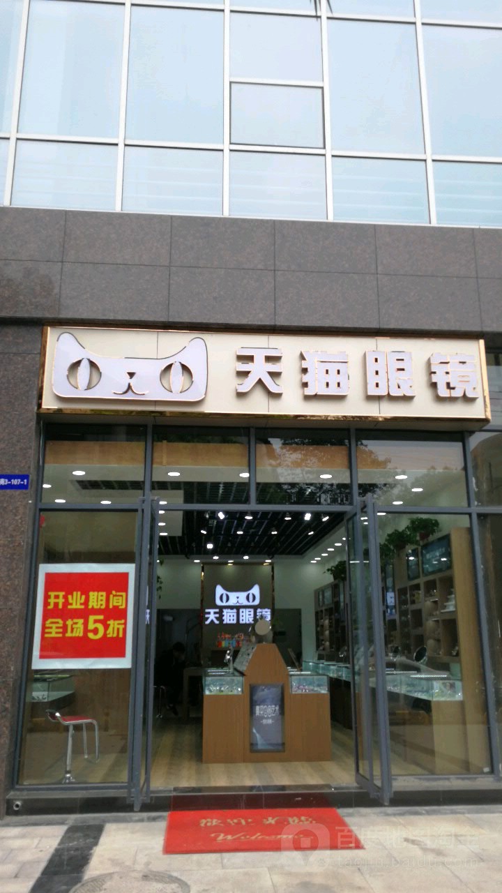 天猫眼睛