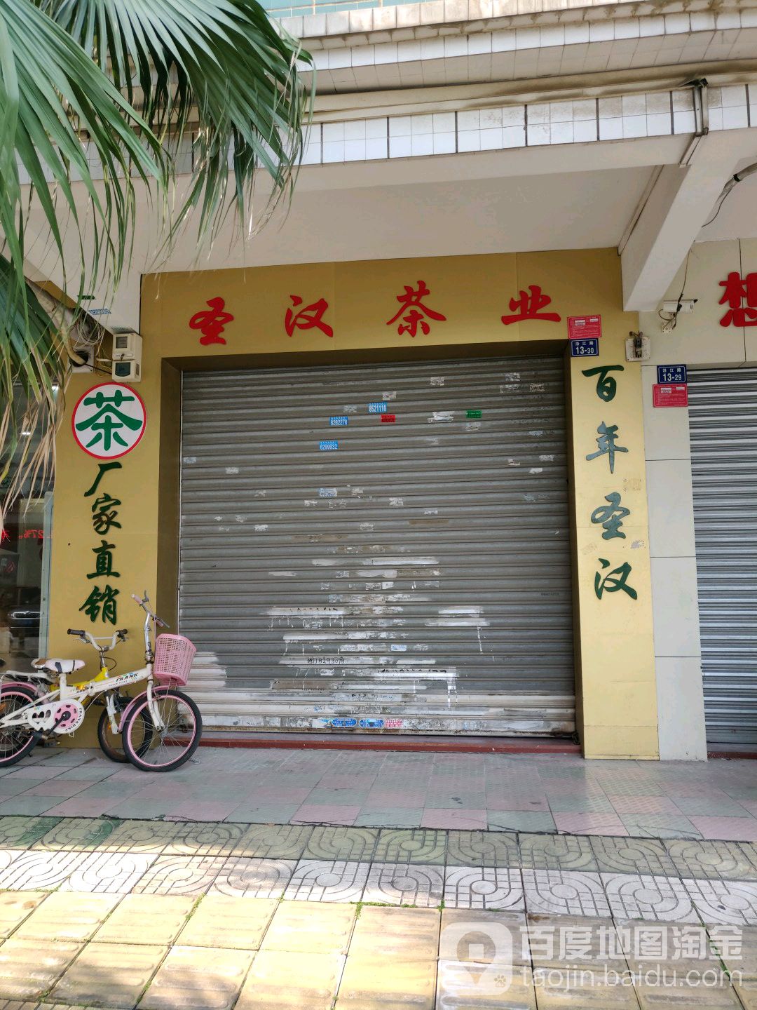 圣汉茶