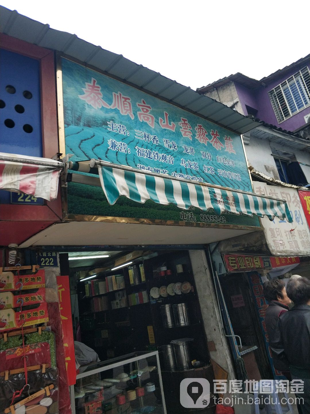 泰顺高山云雾茶庄