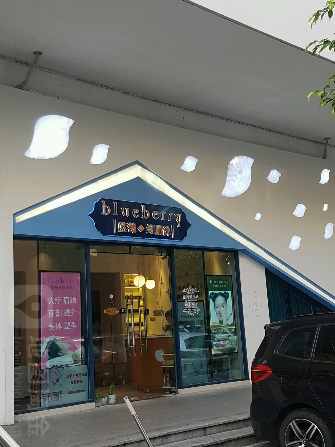 蓝莓美丽说