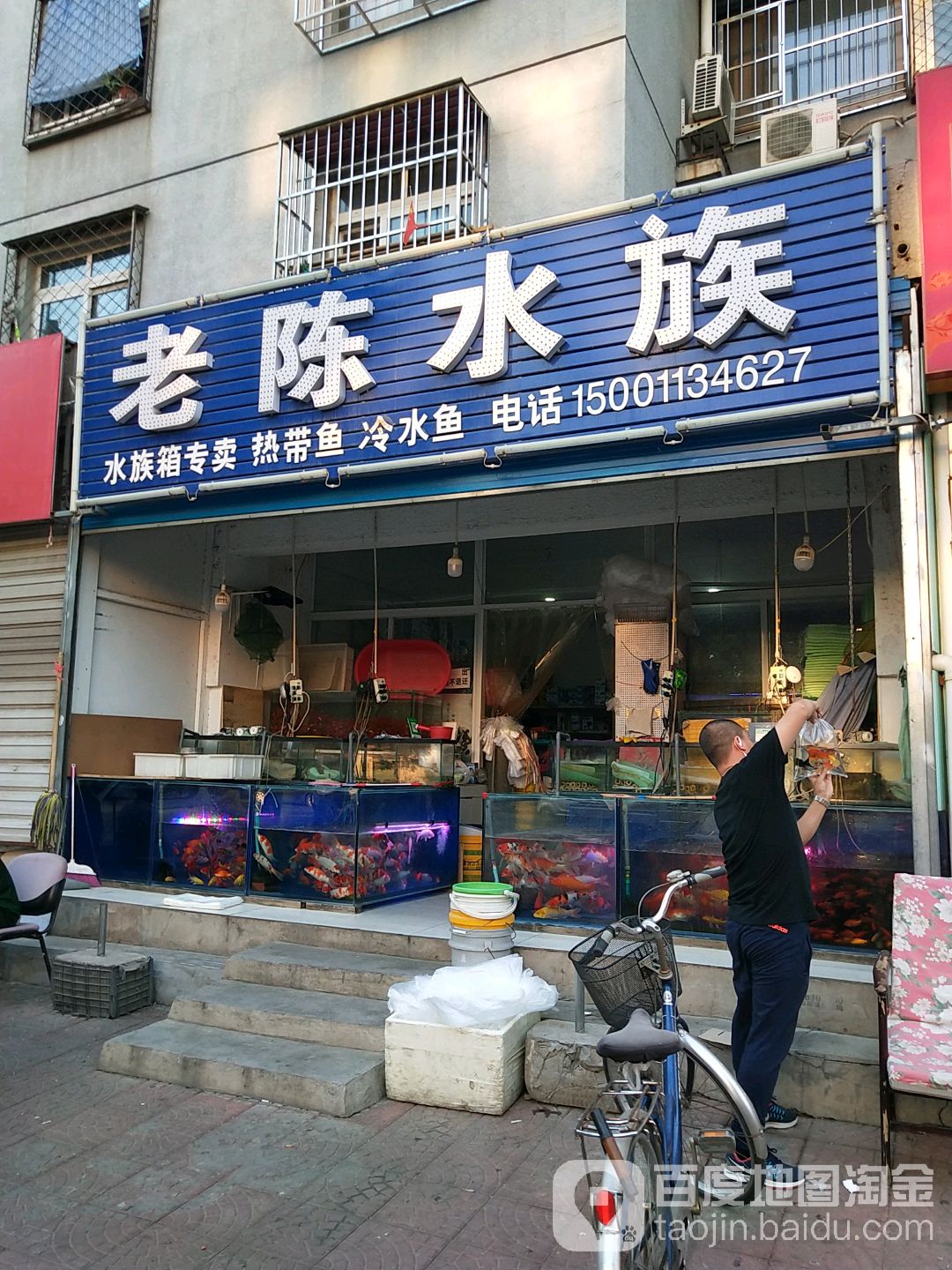 老陈水族
