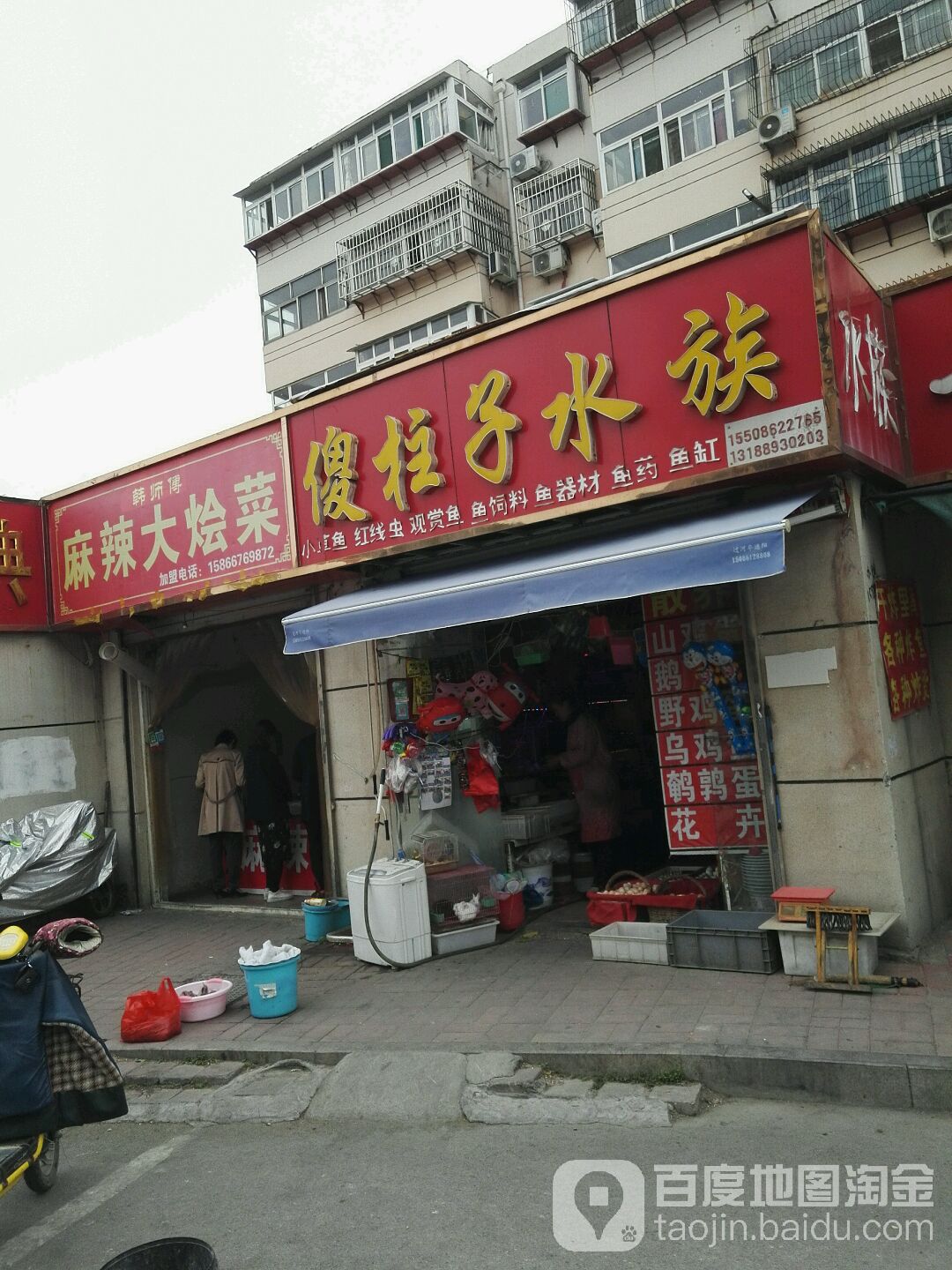 傻柱子水族