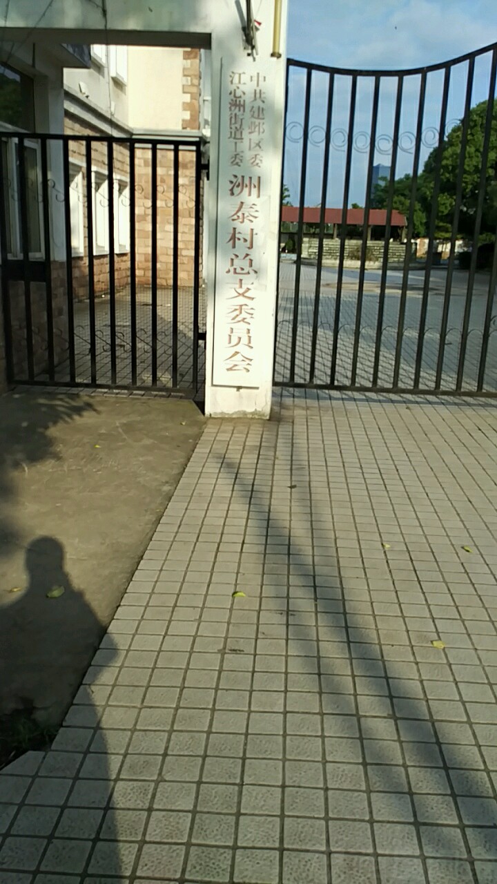 江苏省南京市建邺区葡园路