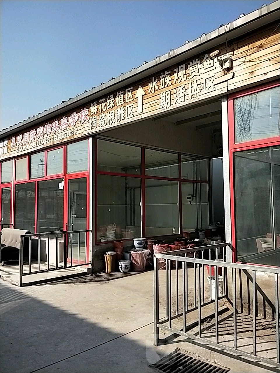 水族观赏鱼一期活体区