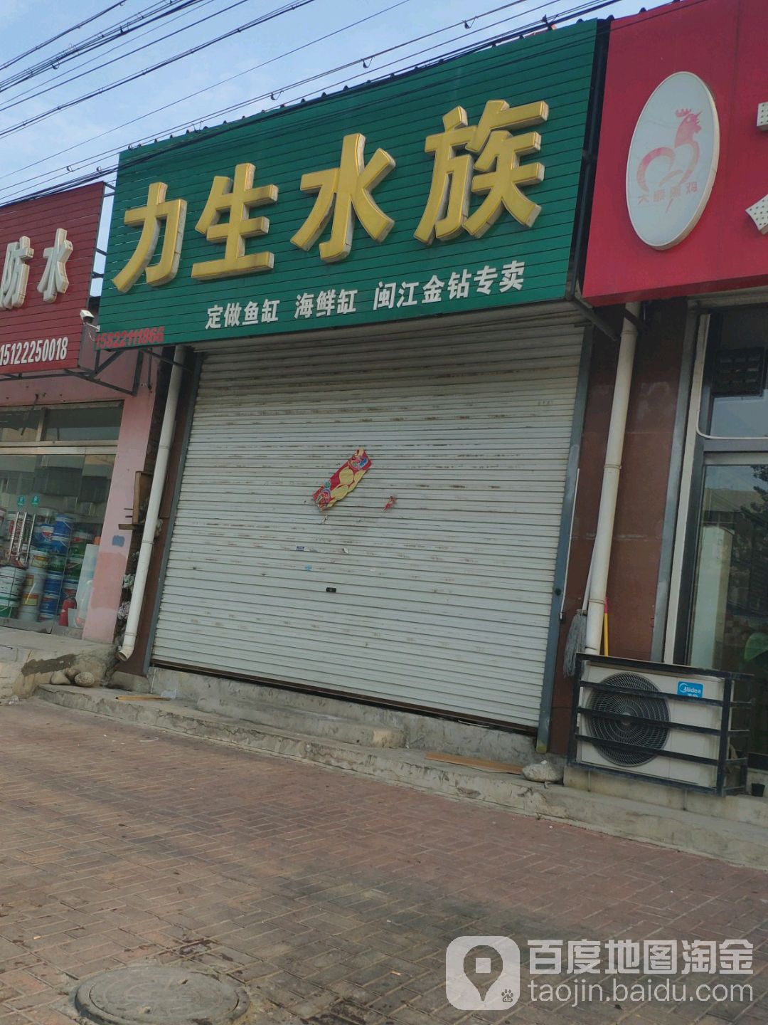 力生水族(闽江金钻专卖)