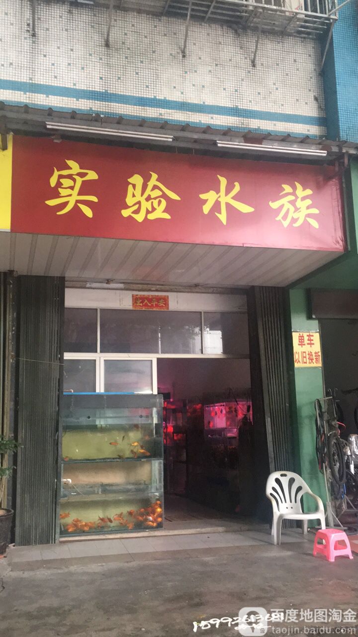实验水族