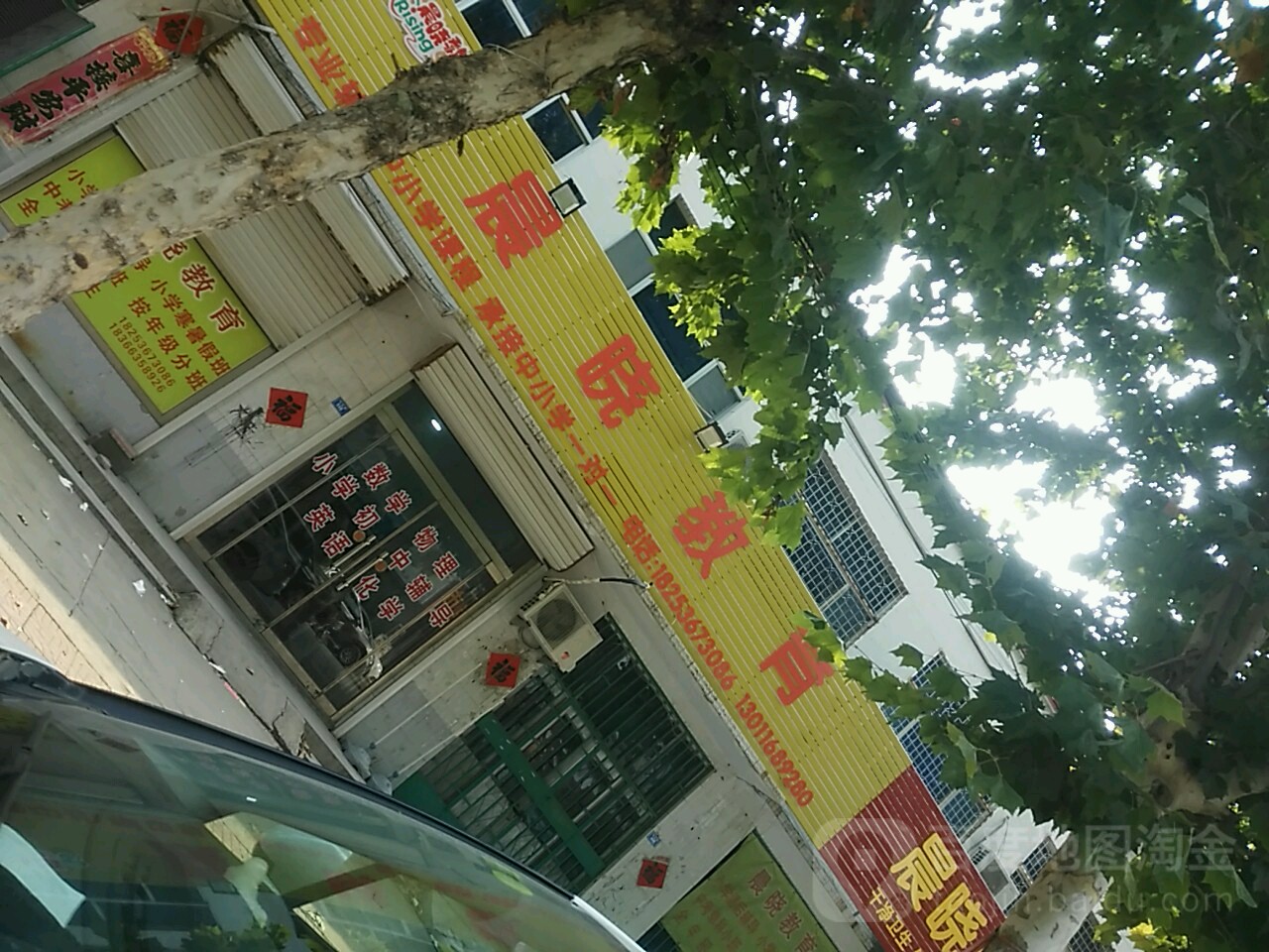 晨晓读书
