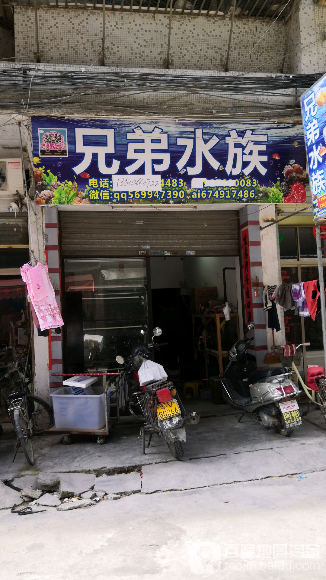 兄弟水族(凤东路凤林村安全文明小区店)