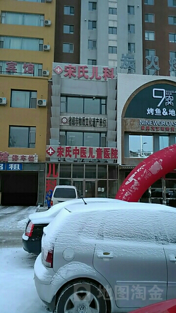 宋氏中医儿童医院