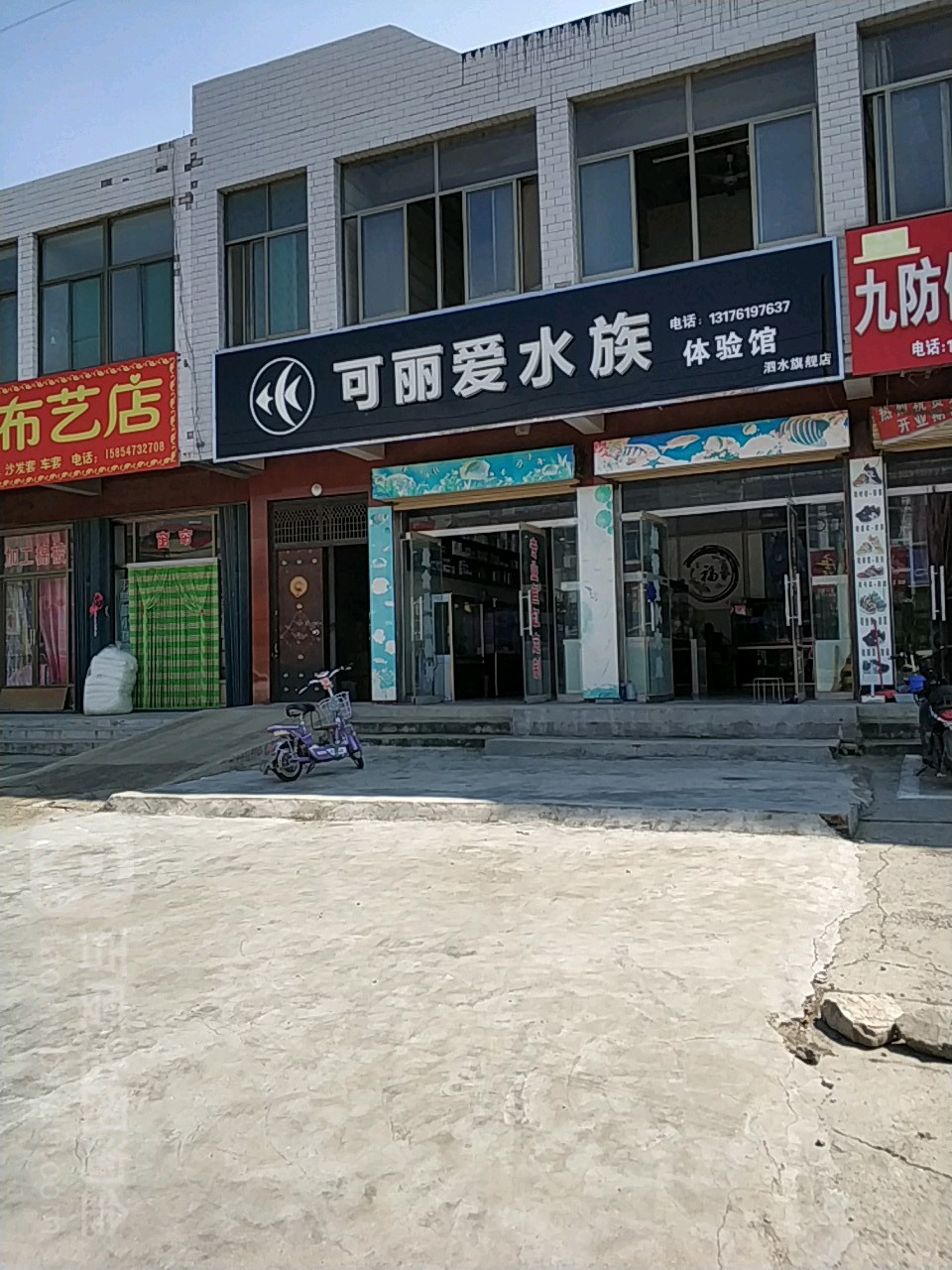 可丽爱水族(青年路店)