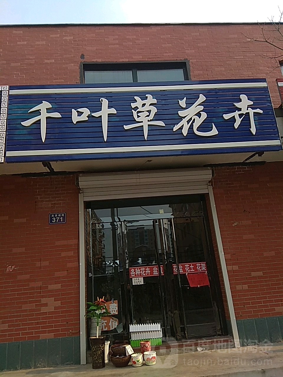 千叶草花卉(兴达盛世嘉苑店)